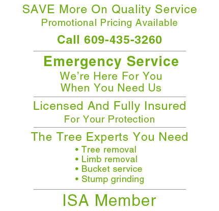 Tree Experts - Atlantic County, NJ  - North American Tree Experts LLC	